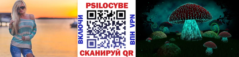закладка  kraken ссылки  Галлюциногенные грибы MAGIC MUSHROOMS  Кимовск 