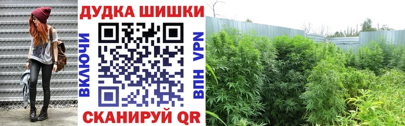 Шишки марихуана Bruce Banner  Кимовск 